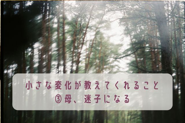 小さな変化が教えてくれること③母、迷子になる